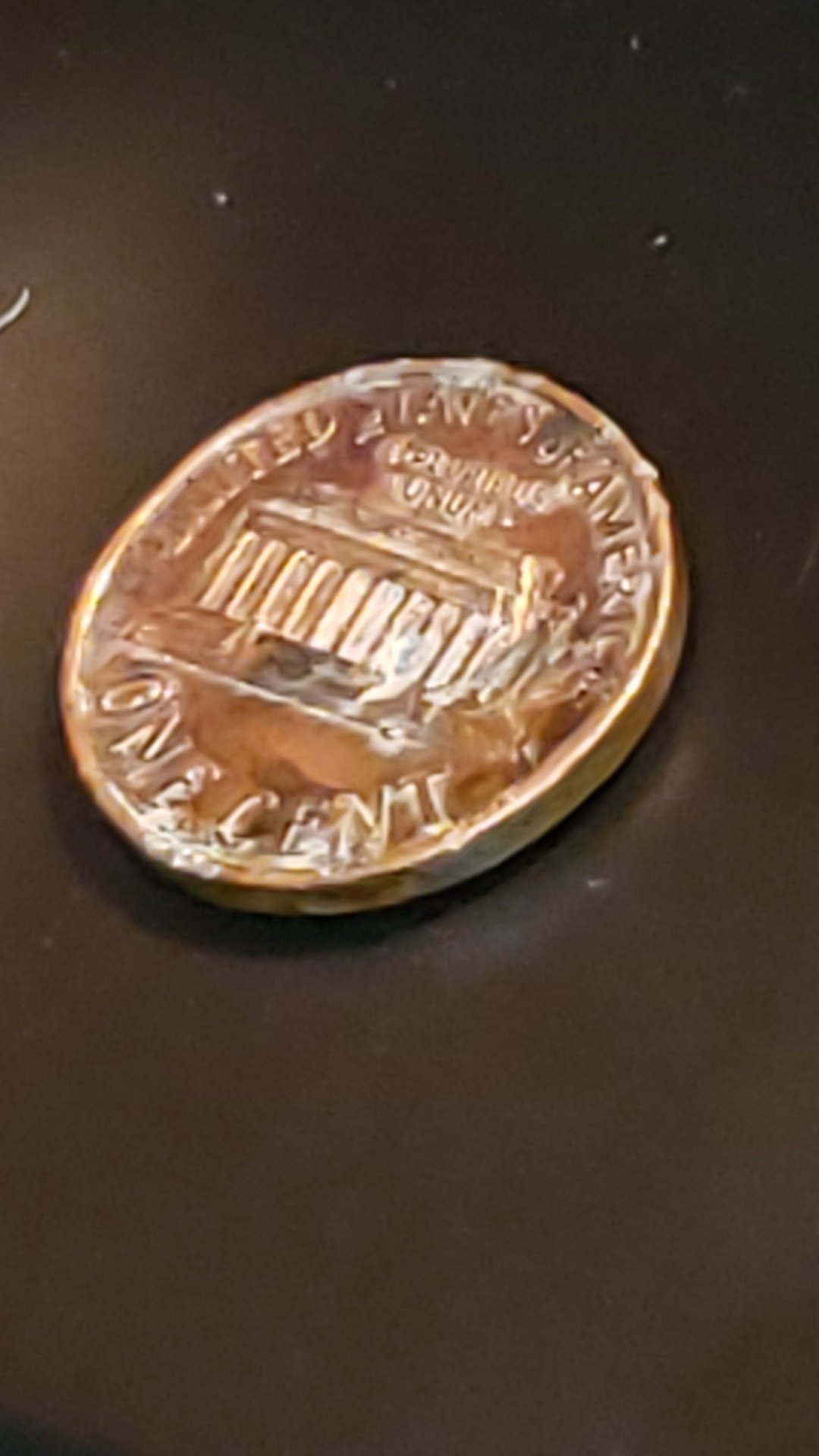 CM190331-165511010.jpg