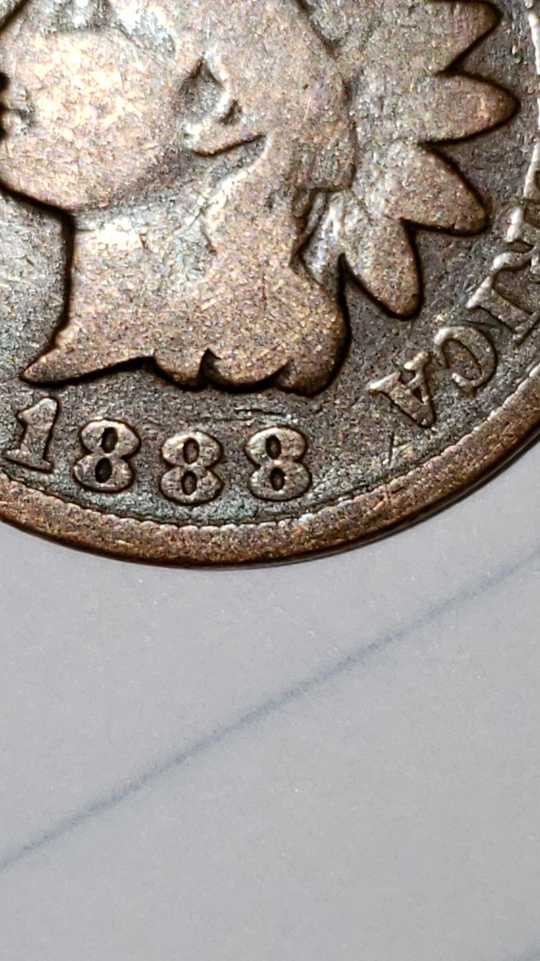 CM190401-013301001.jpg