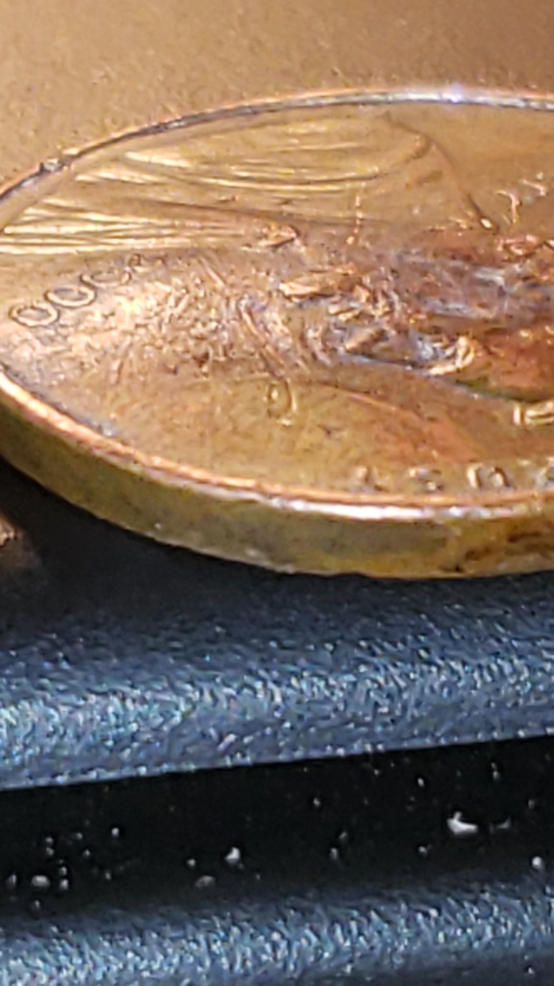 CM190401-045148008.jpg