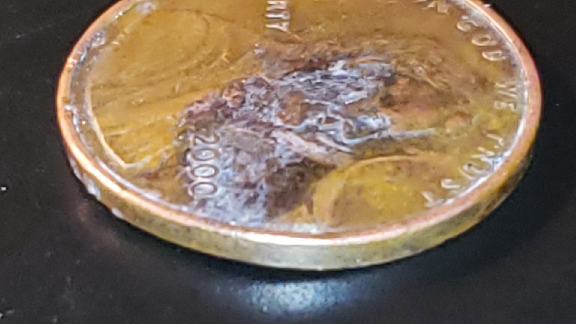 CM190401-045928018.jpg