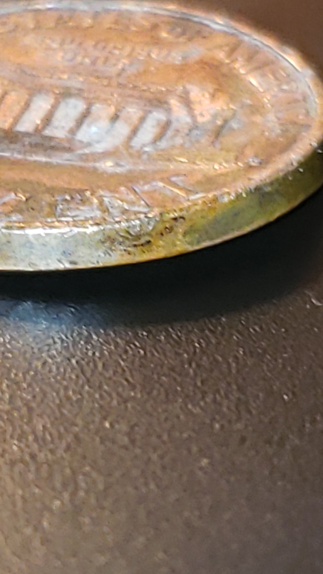 CM190401-050203024.jpg