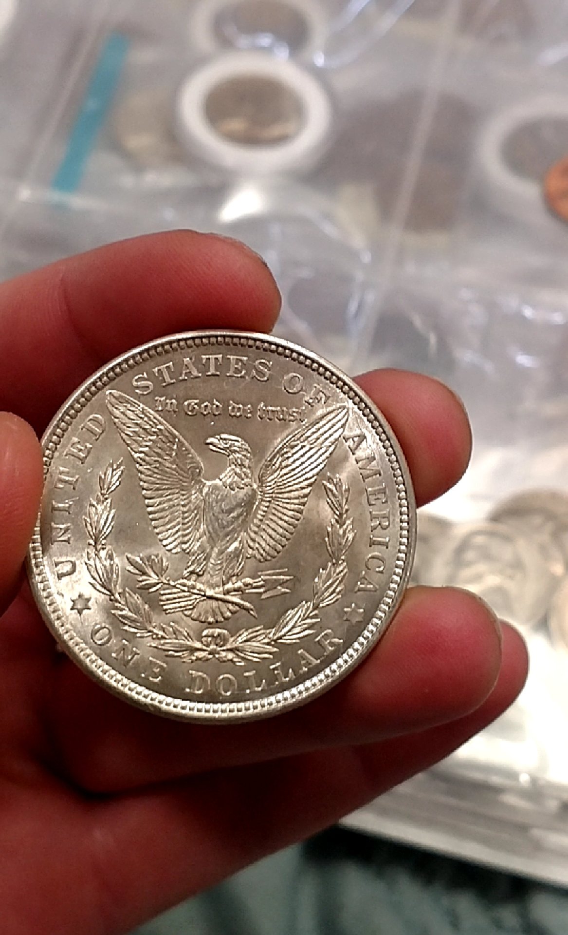 CM190505-152927009.jpg