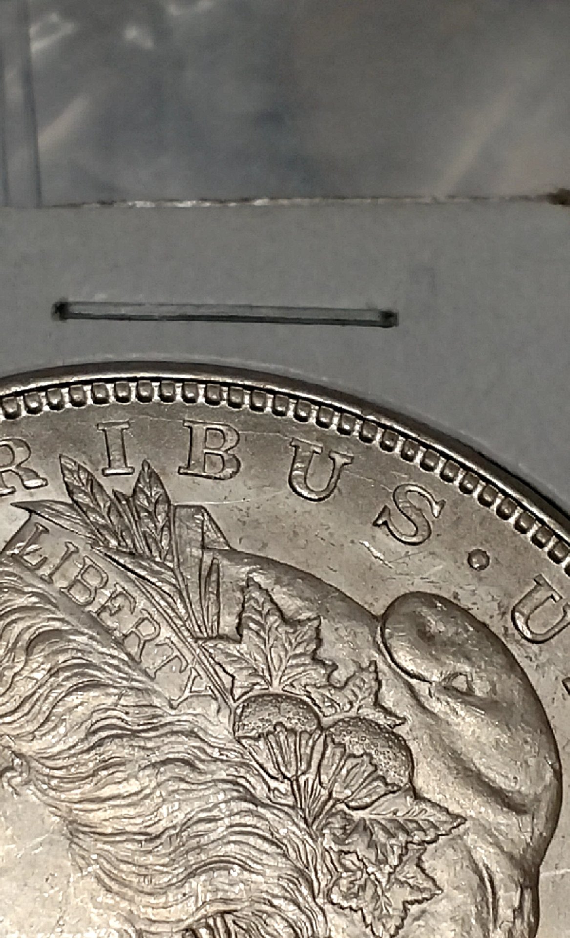 CM190505-153114011.jpg