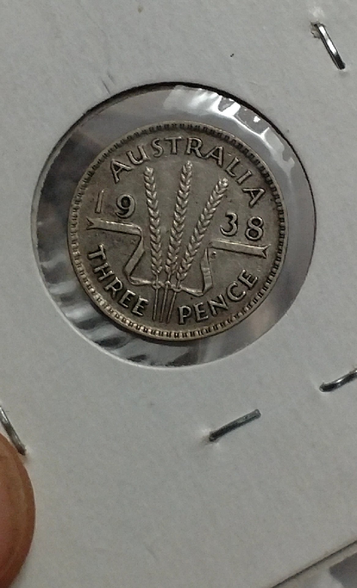 CM190505-182820009.jpg