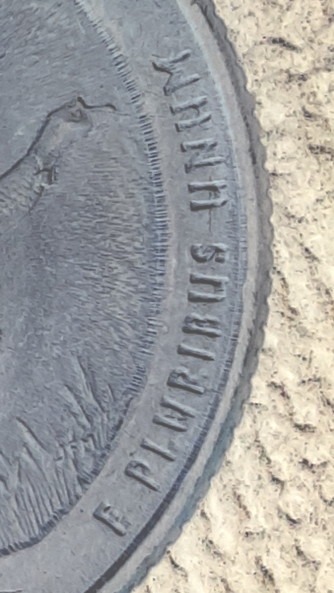 CM190531-191818010.jpg