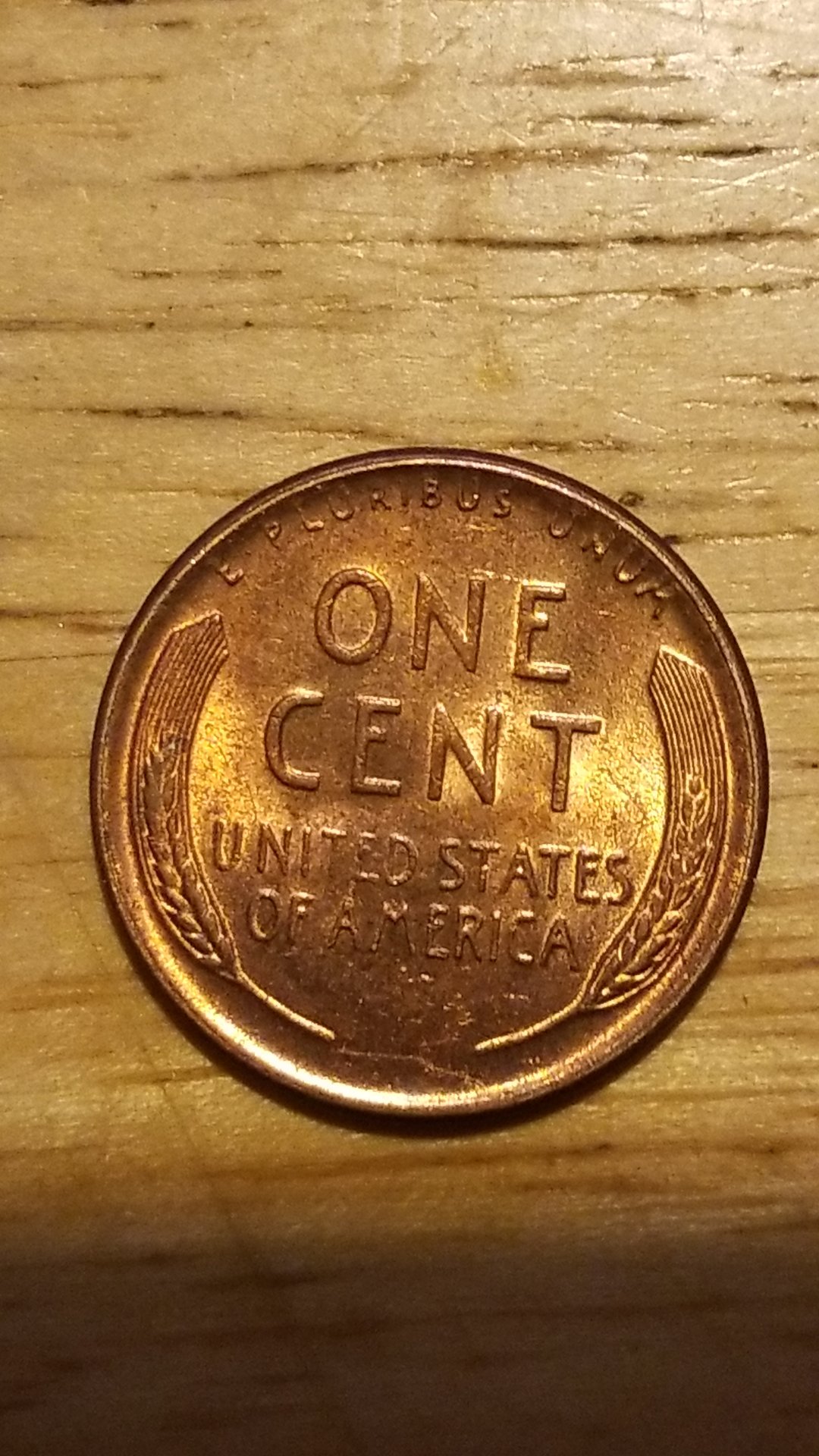 CM190618-183511010.jpg