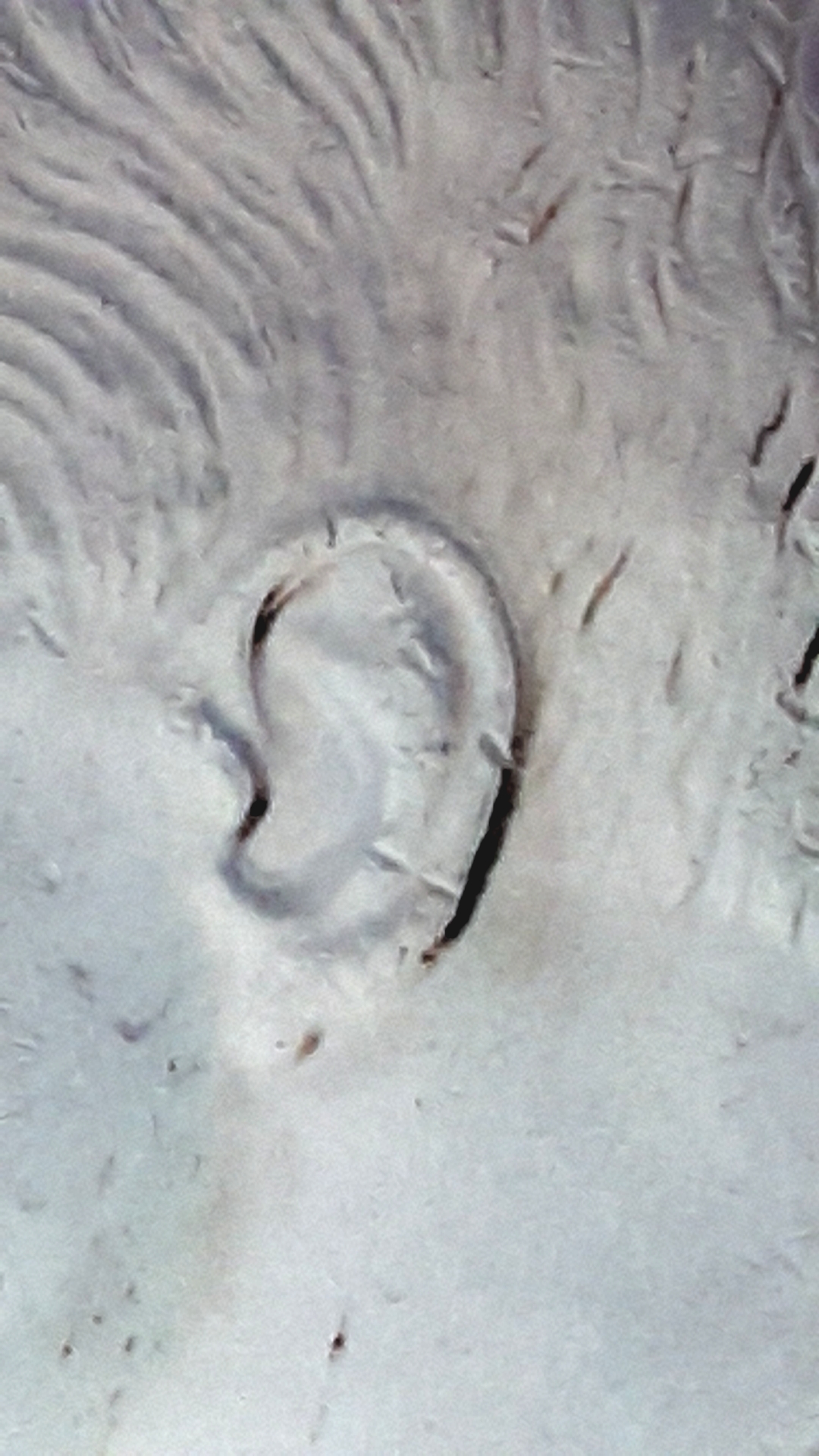 CM190628-121504004.jpg