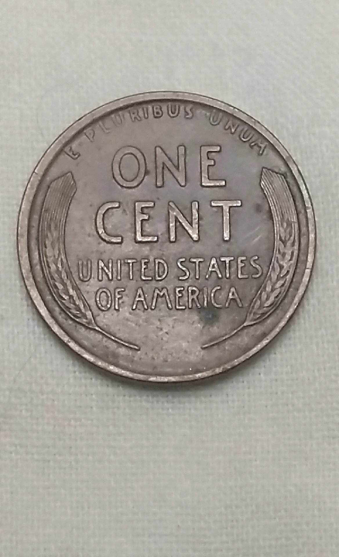 CM190710-095217002.jpg