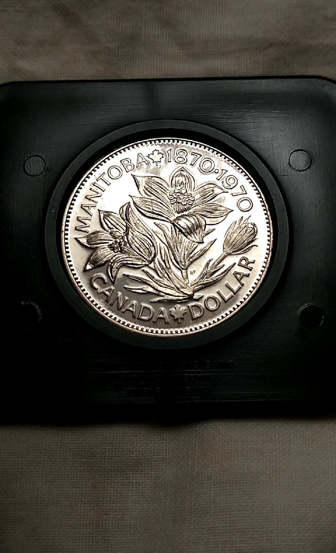 CM190718-194129006.jpg