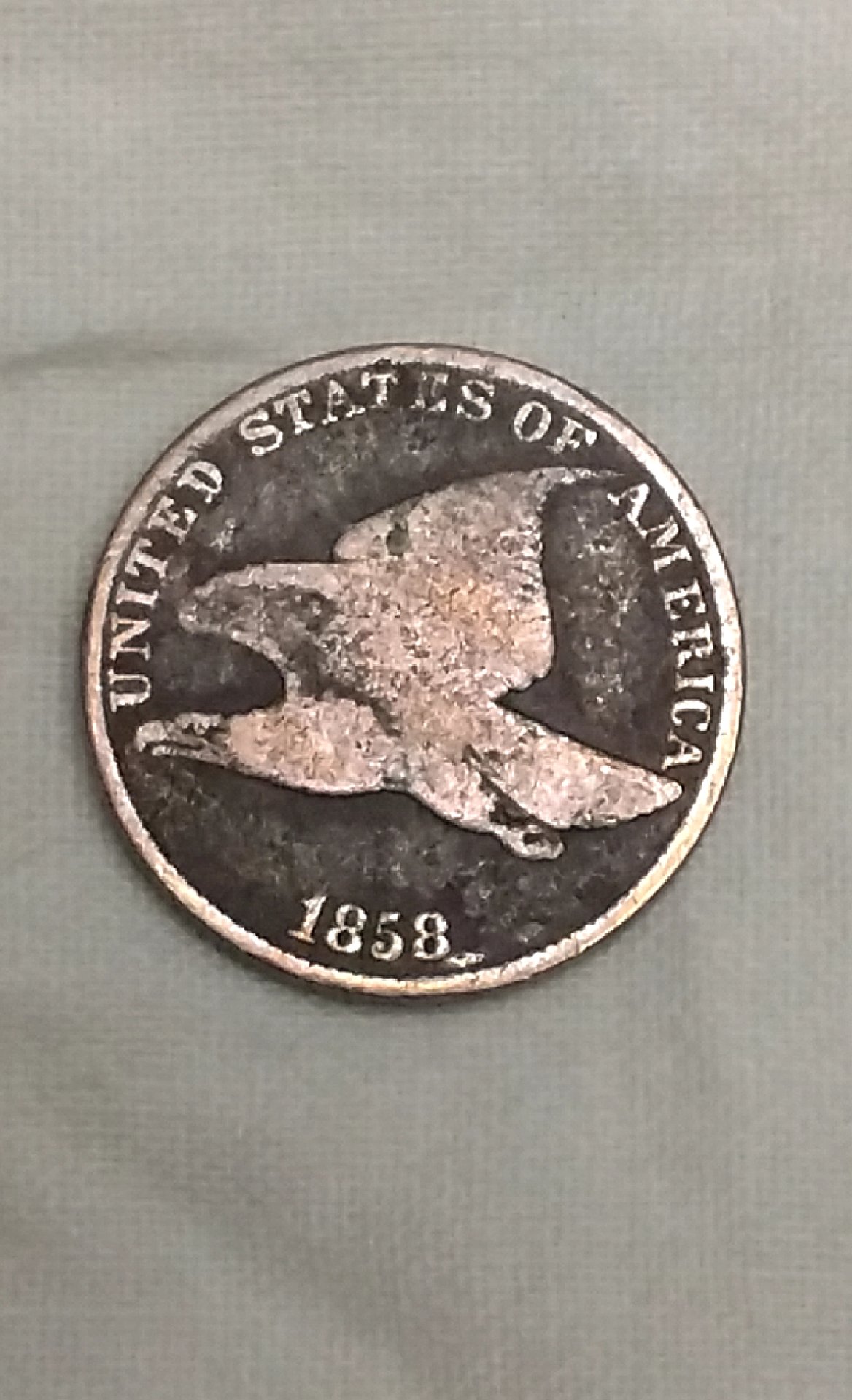 CM190810-151555001.jpg
