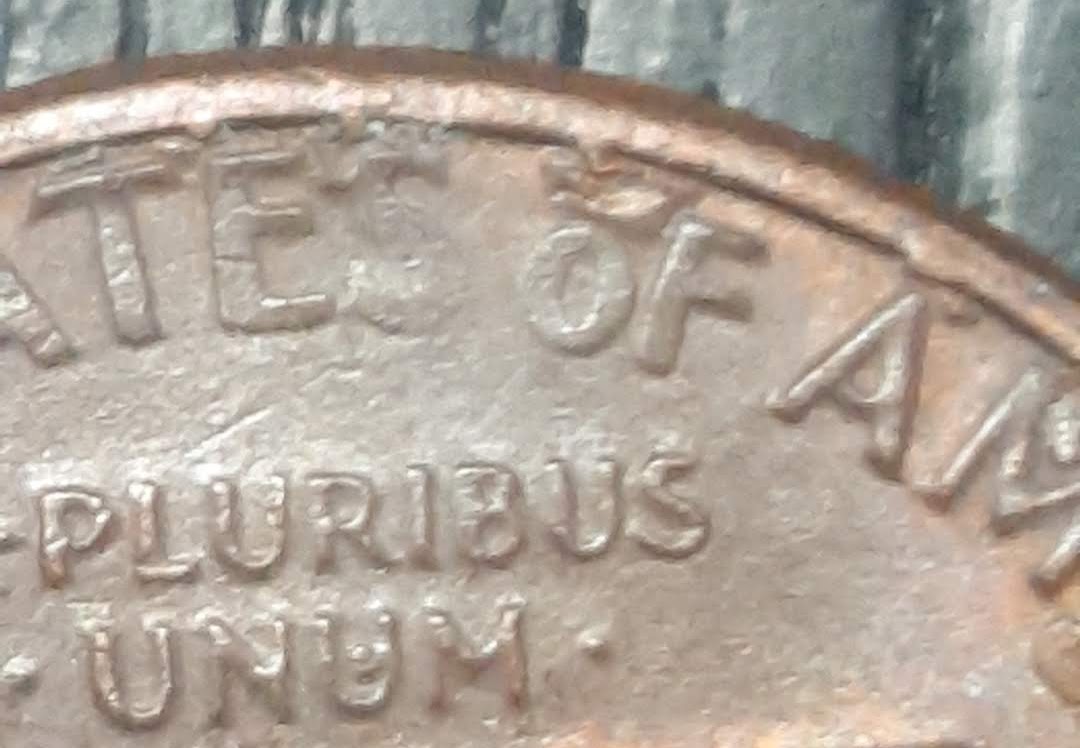 CM190821-190743006.jpg