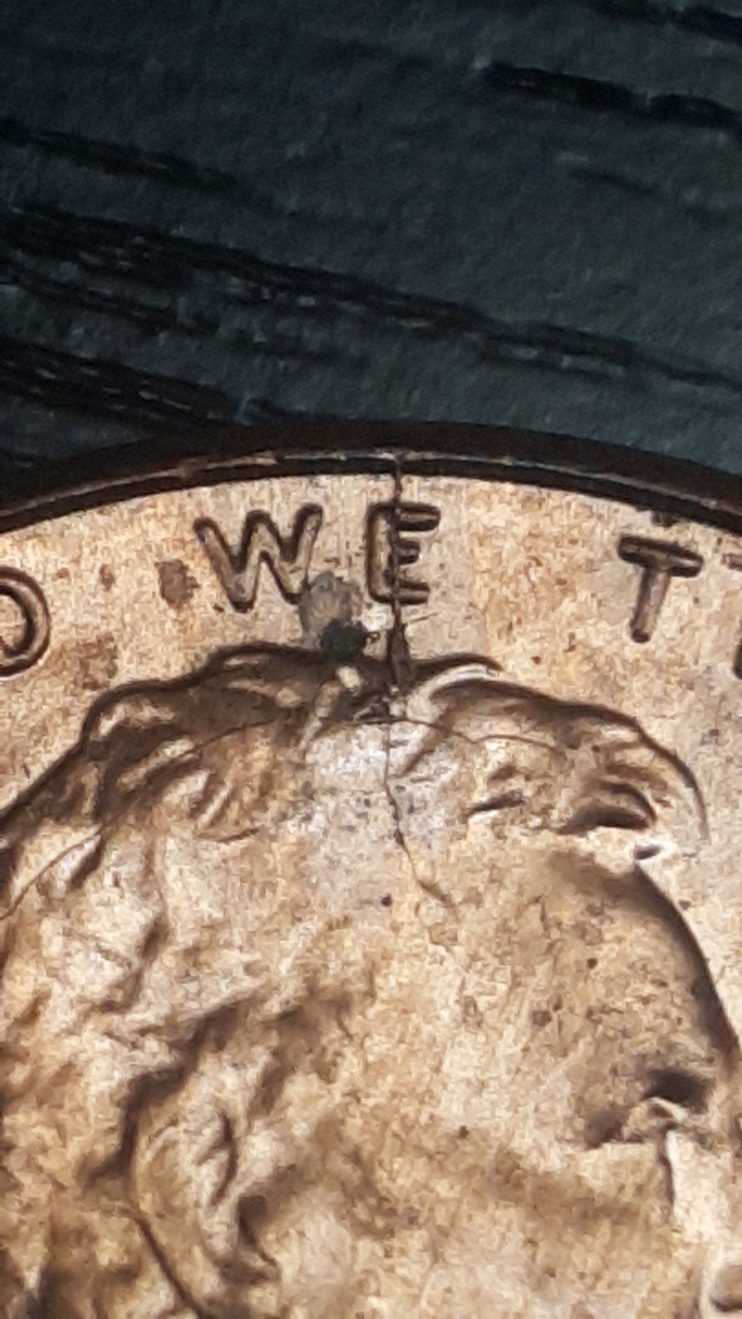 CM190821-213711002.jpg