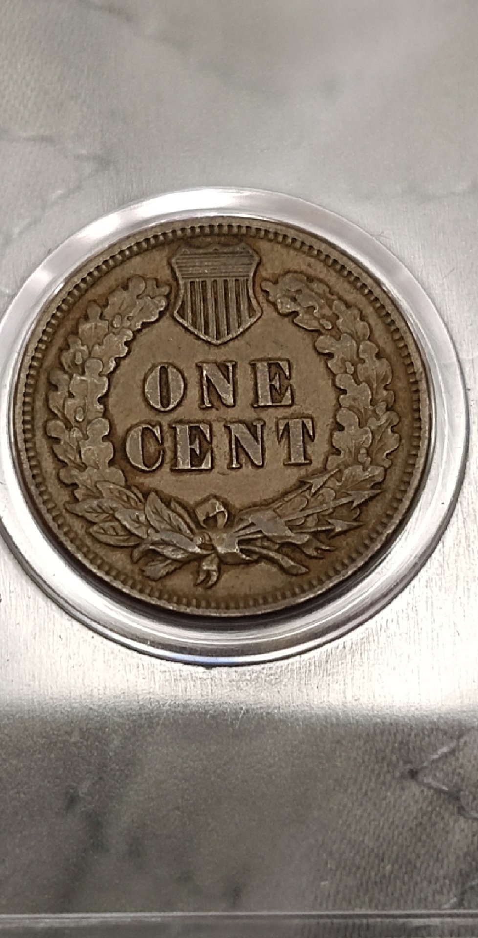 CM190825-180343009.jpg