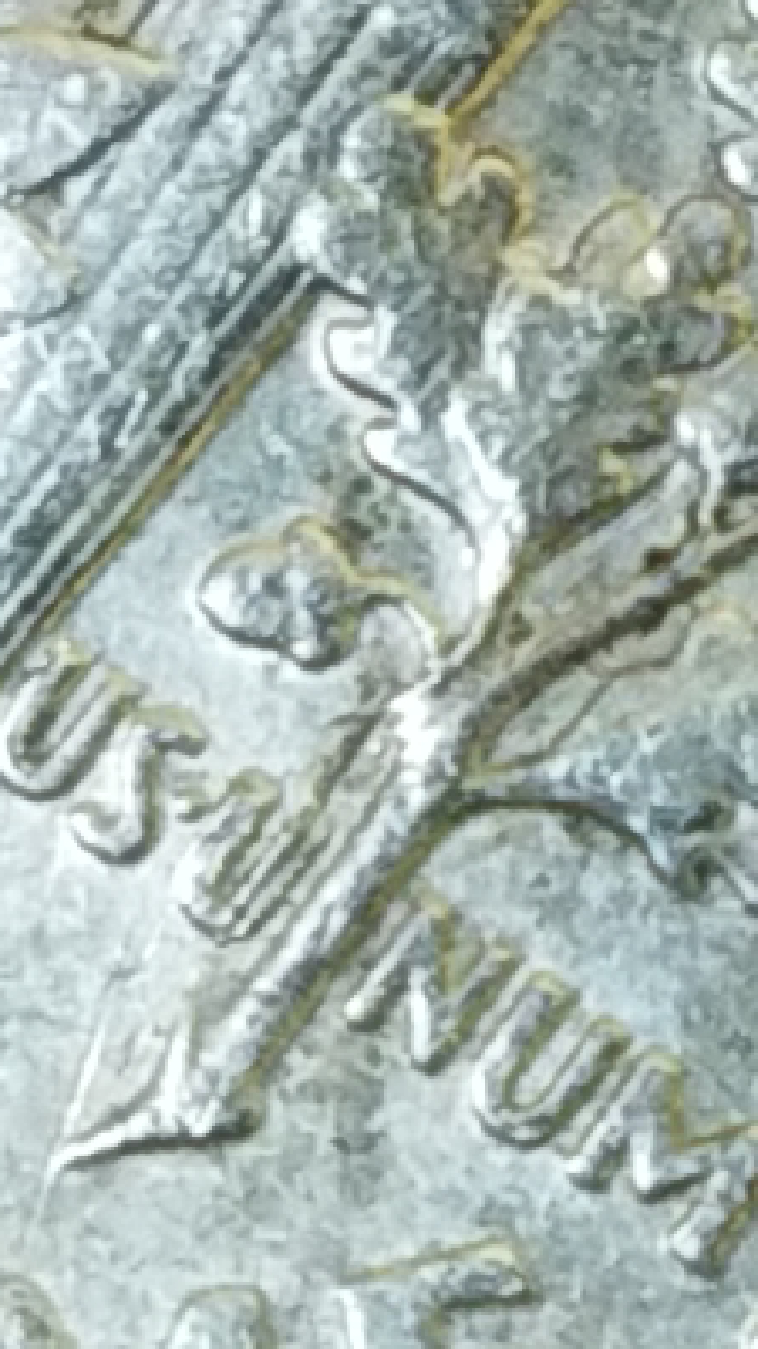 CM190915-144438025.jpg