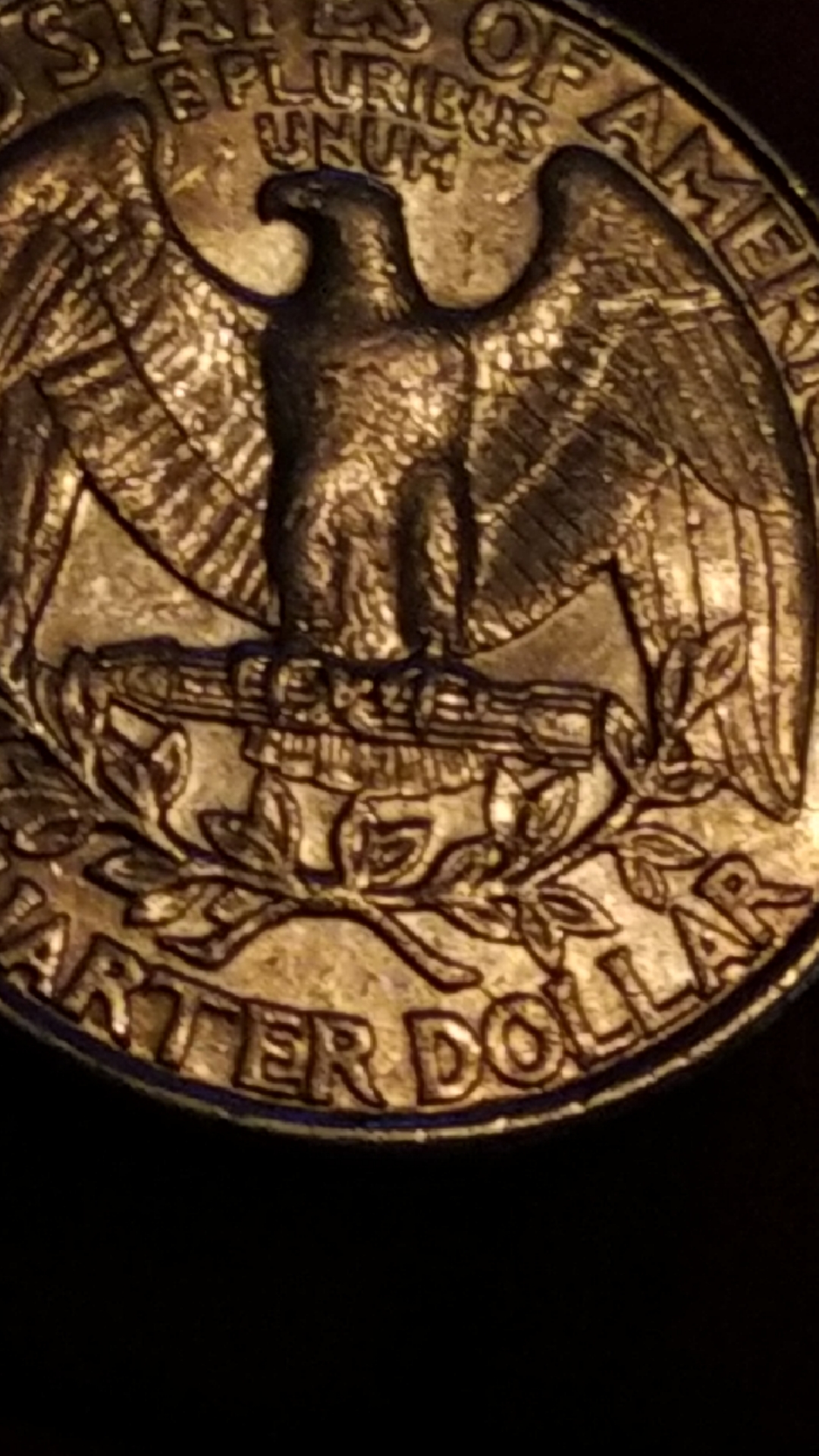 CM190915-202749006.jpg