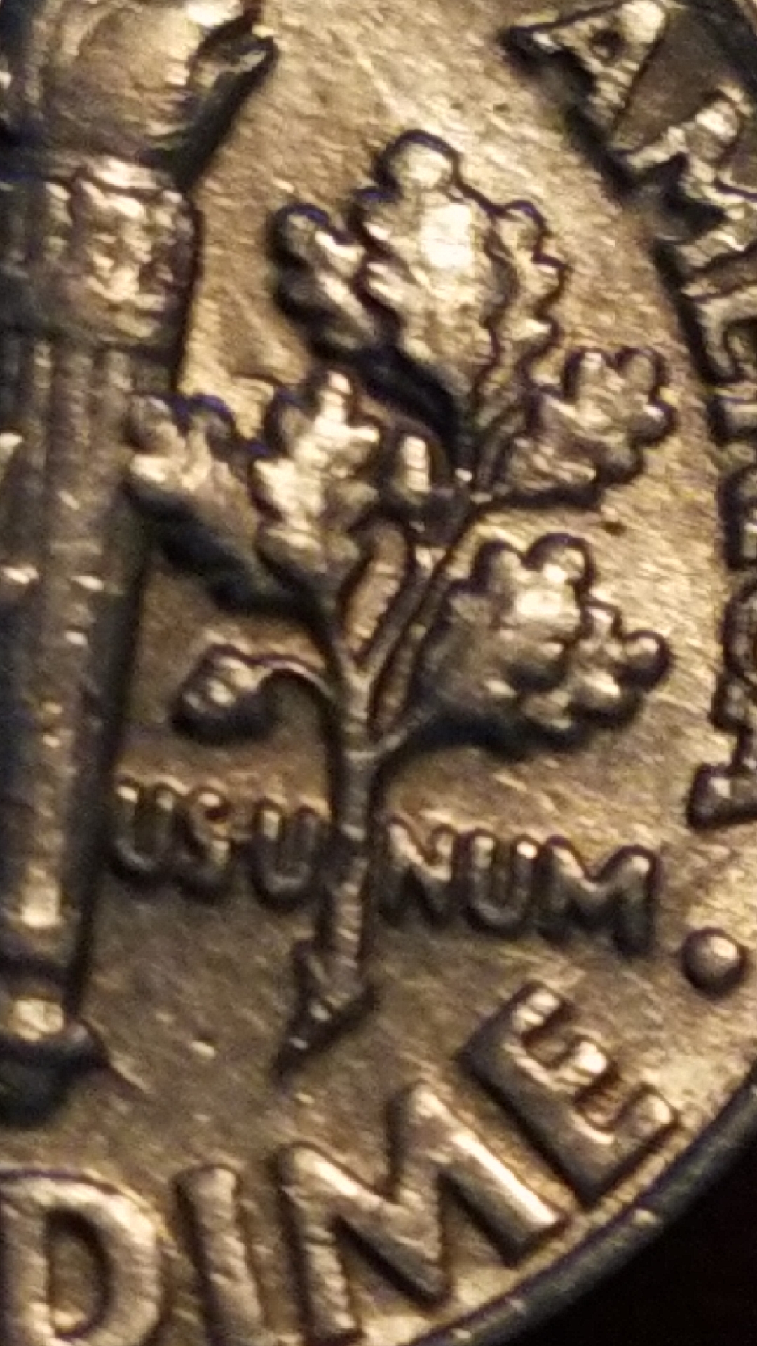 CM190918-175655001.jpg