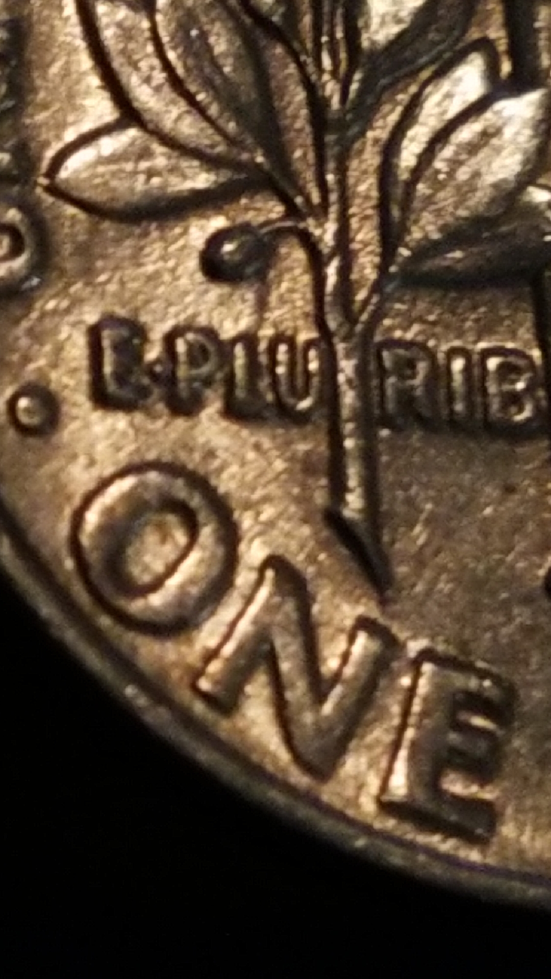 CM190918-175911005.jpg