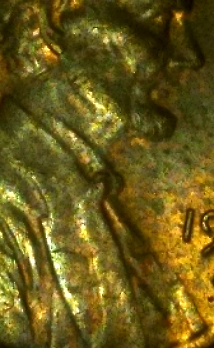 CM191008-003318034.jpg