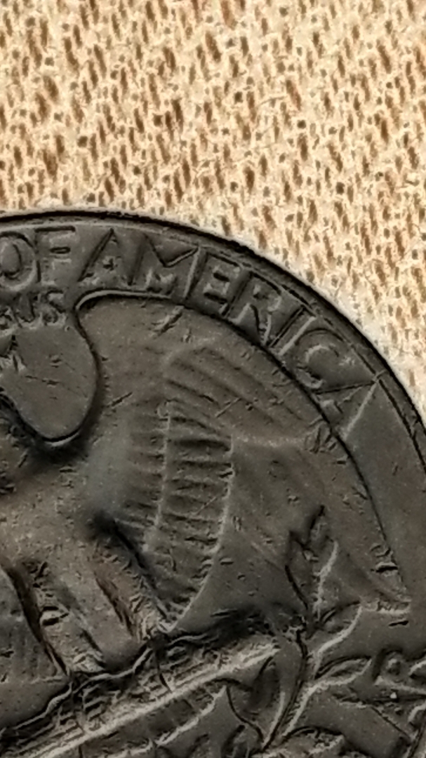 CM191011-075432015_12293756549007.jpg