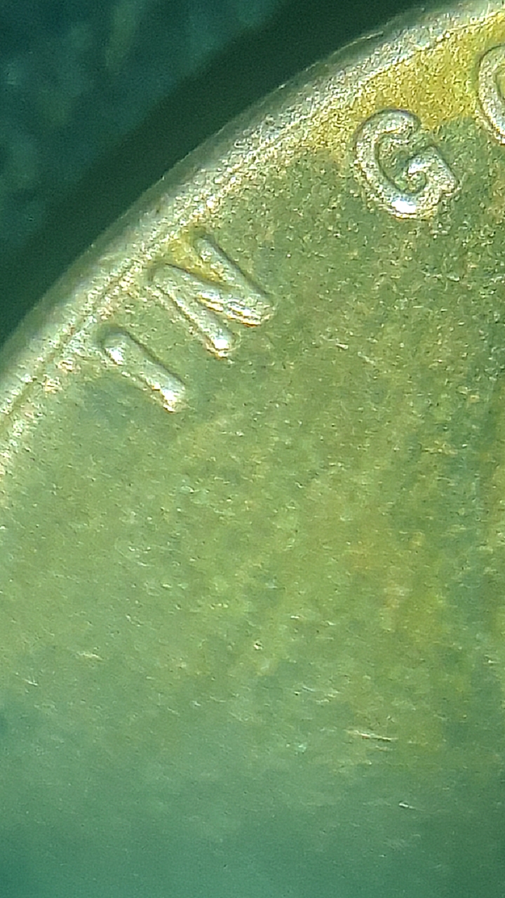 CM200218-223846074.jpg