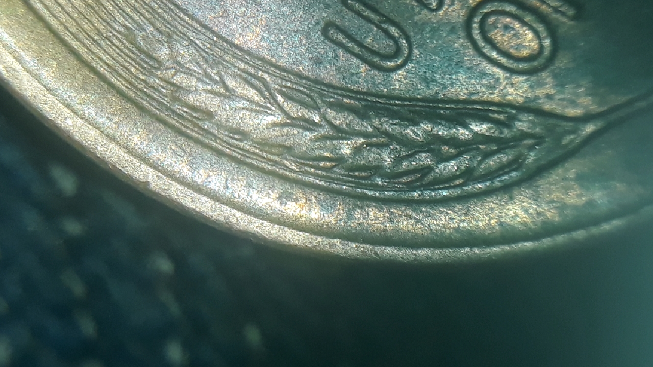 CM200218-235623035.jpg