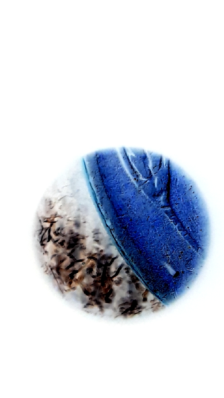 CM200304-204834035.jpg