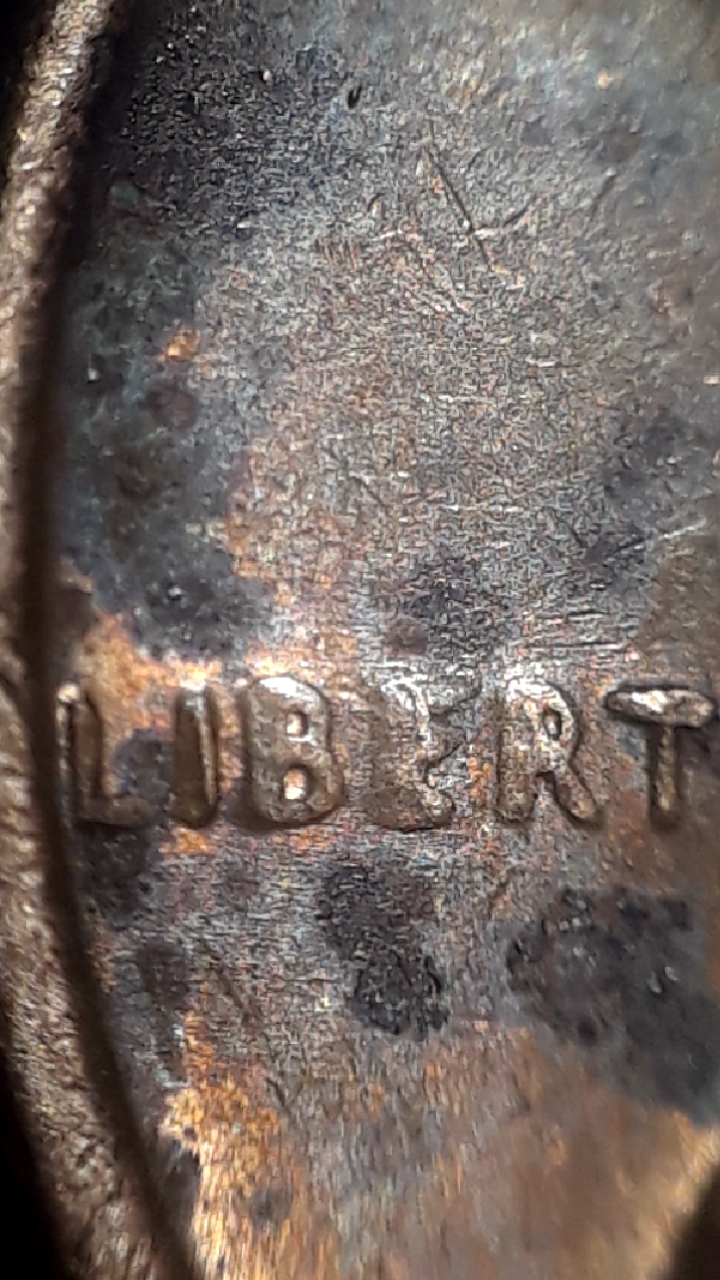 CM200401-231546011.jpg