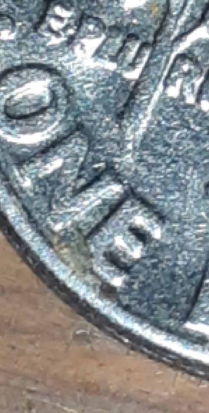 CM200709-165611011.jpg