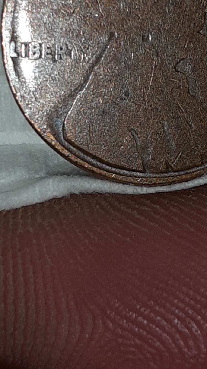 CM201029-134553004.jpg
