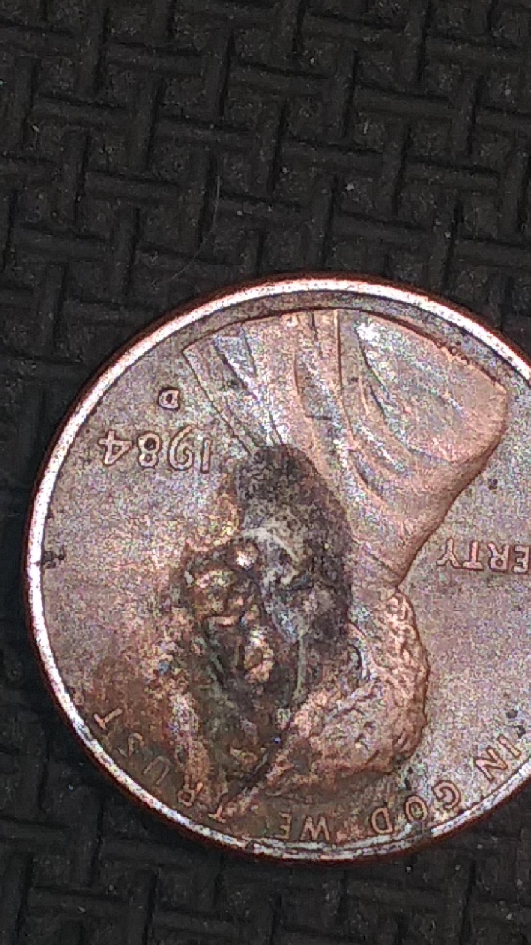 CM201218-050540004.jpg