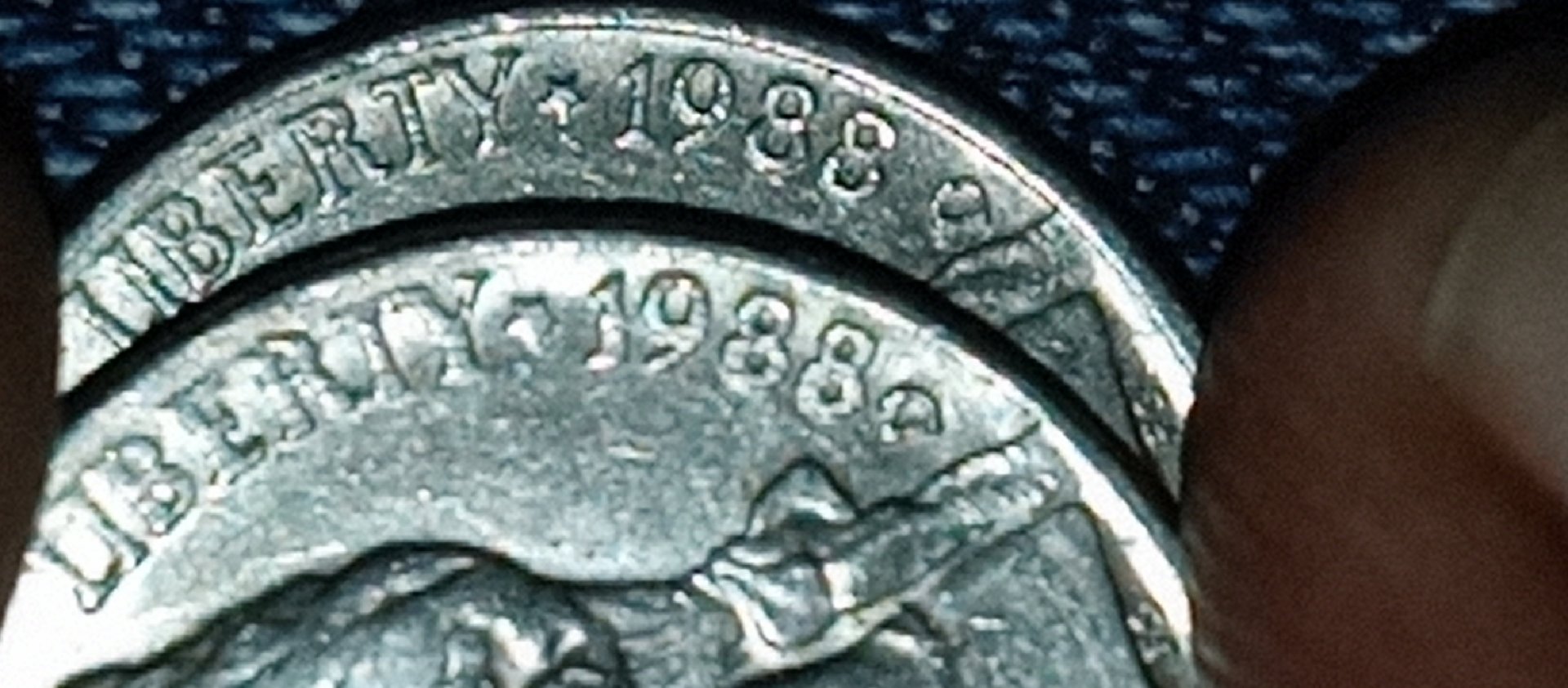 CM210111-141932008.jpg