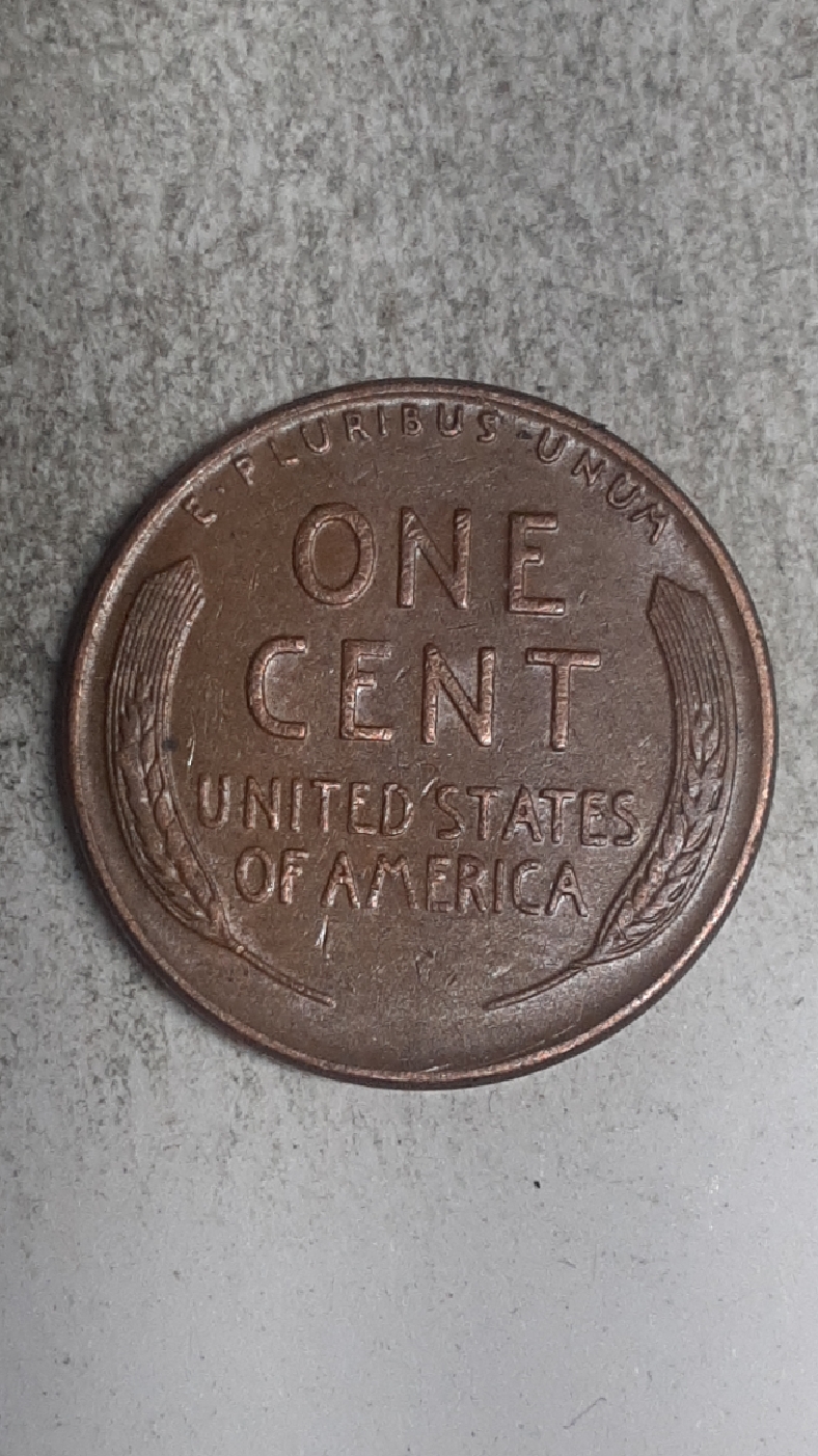 CM210114-125351004.jpg