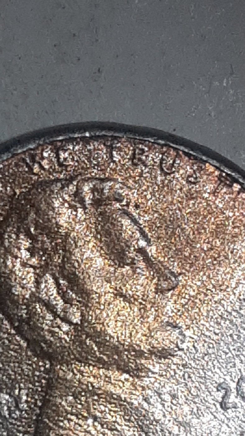 CM210115-225004002.jpg