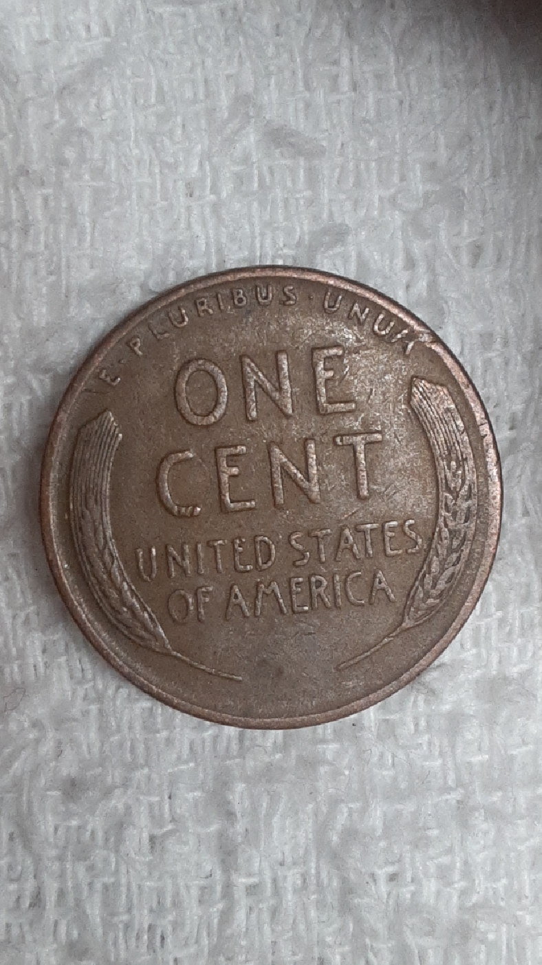 CM210118-122829002.jpg