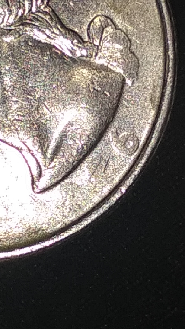 CM210214-165554001.jpg