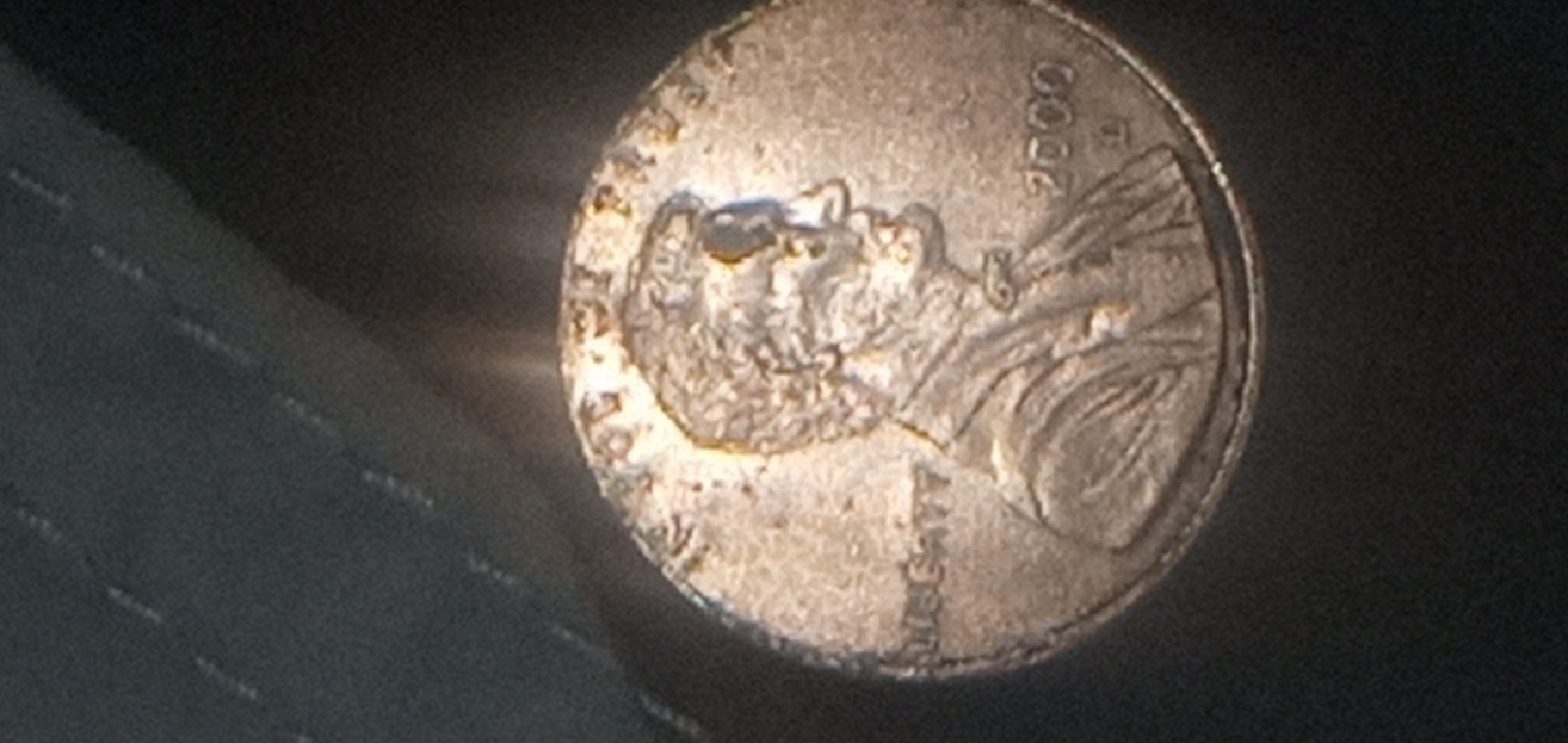 CM210226-051801001.jpg