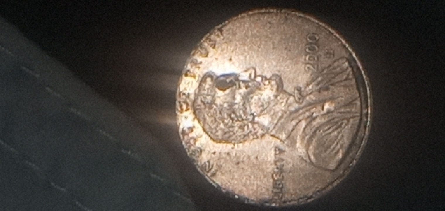 CM210226-051805002.jpg