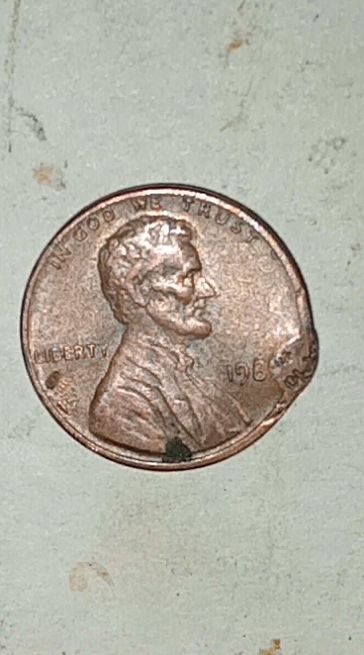 CM240415-034408002.jpg
