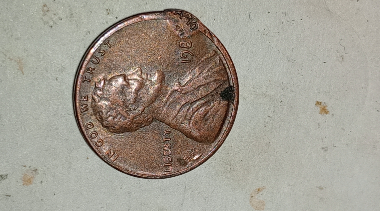 CM240415-034526007.jpg