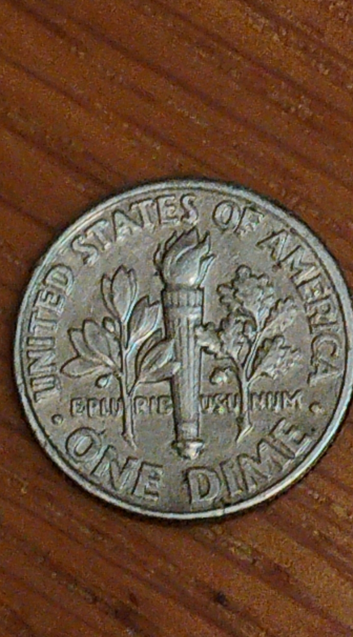CM250204-174905004.jpg