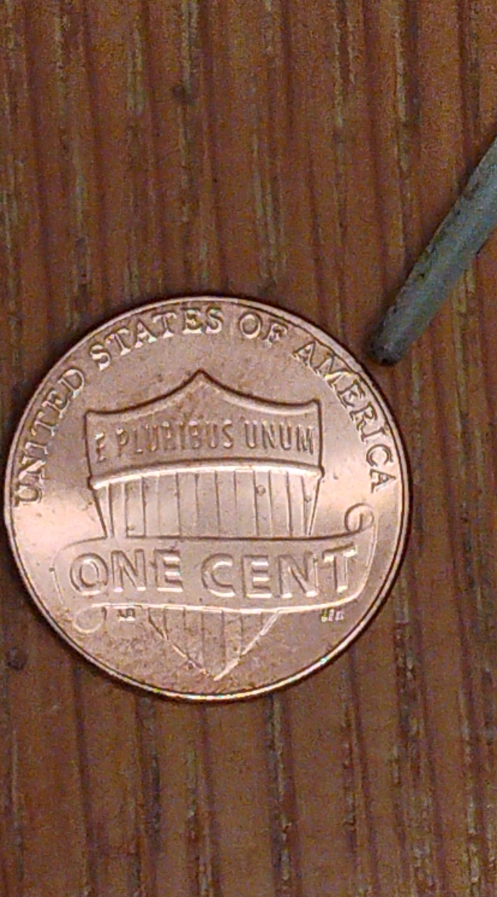 CM250204-210144003.jpg