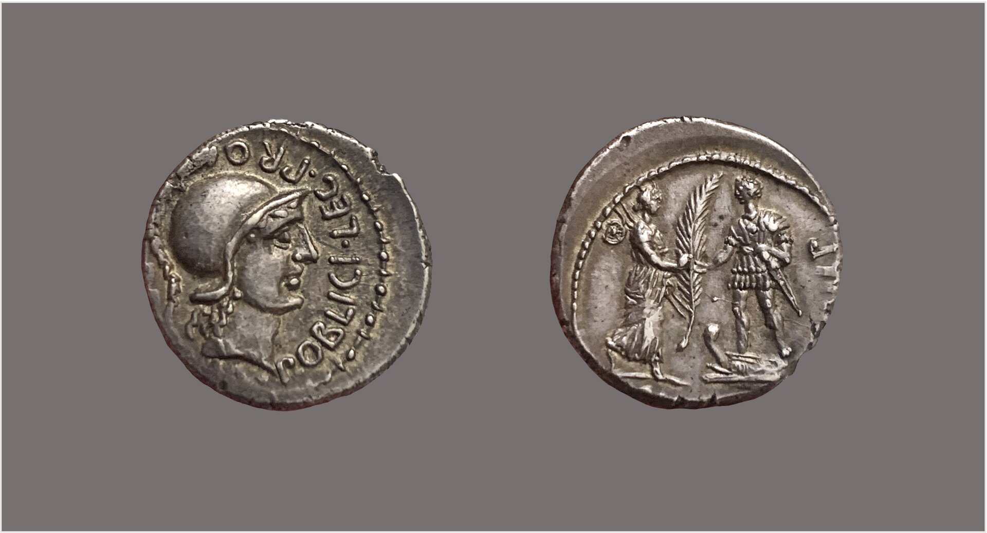 Cn Pompey Jr denarius.jpg