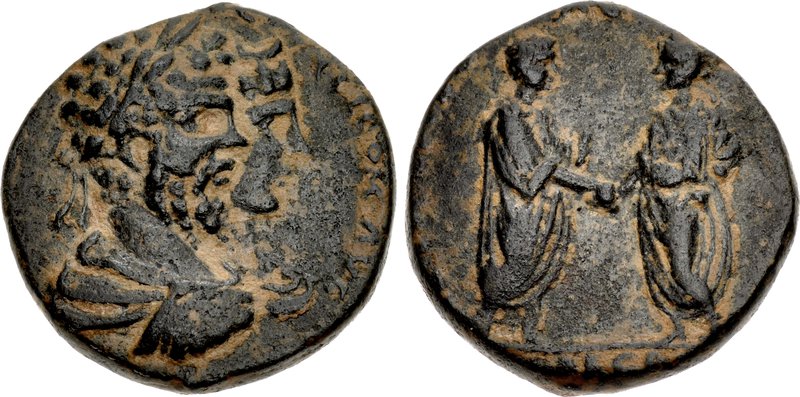CNG Coin Shop, 503622, S. Severus Dynastic Issue.jpg