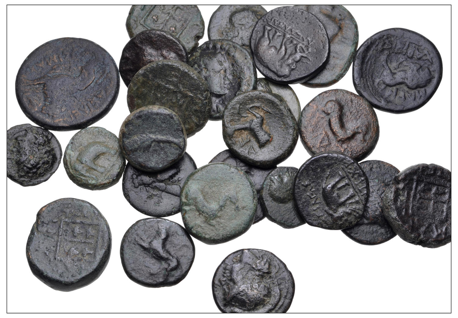 CNG Greek Lot.jpg