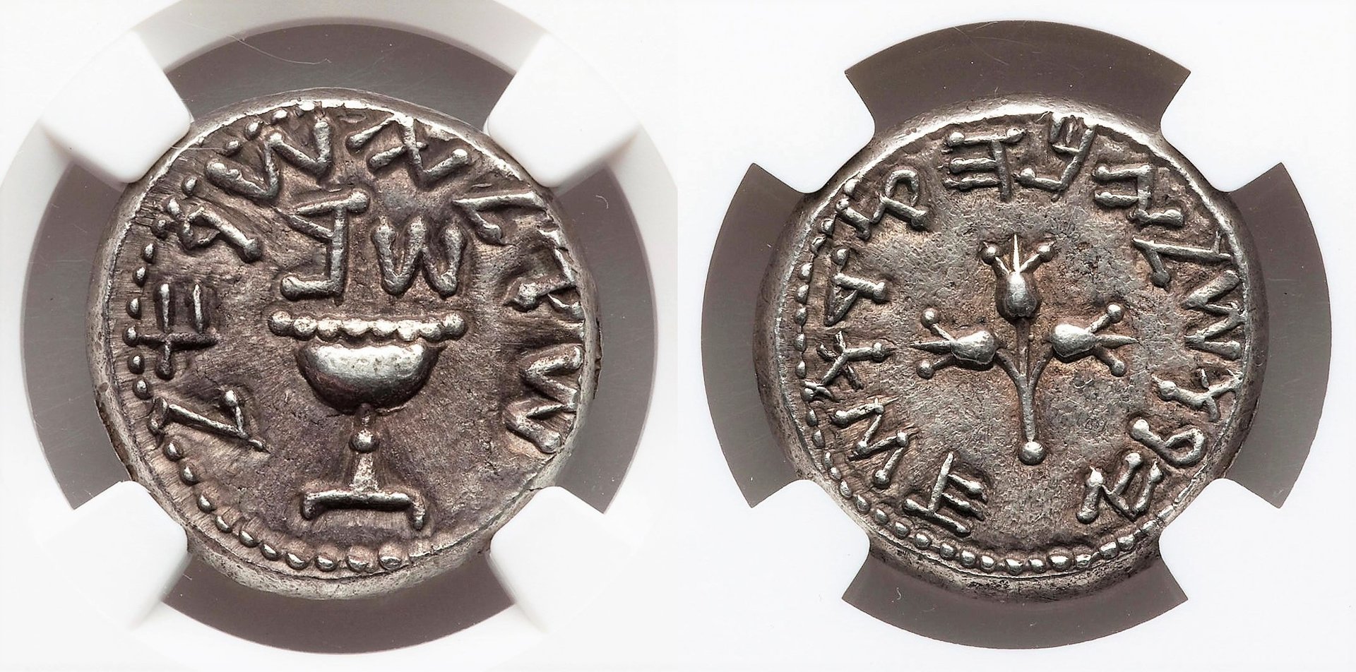 CNG Triton XXIV, Lot 781, Year 2 Shekel.jpg