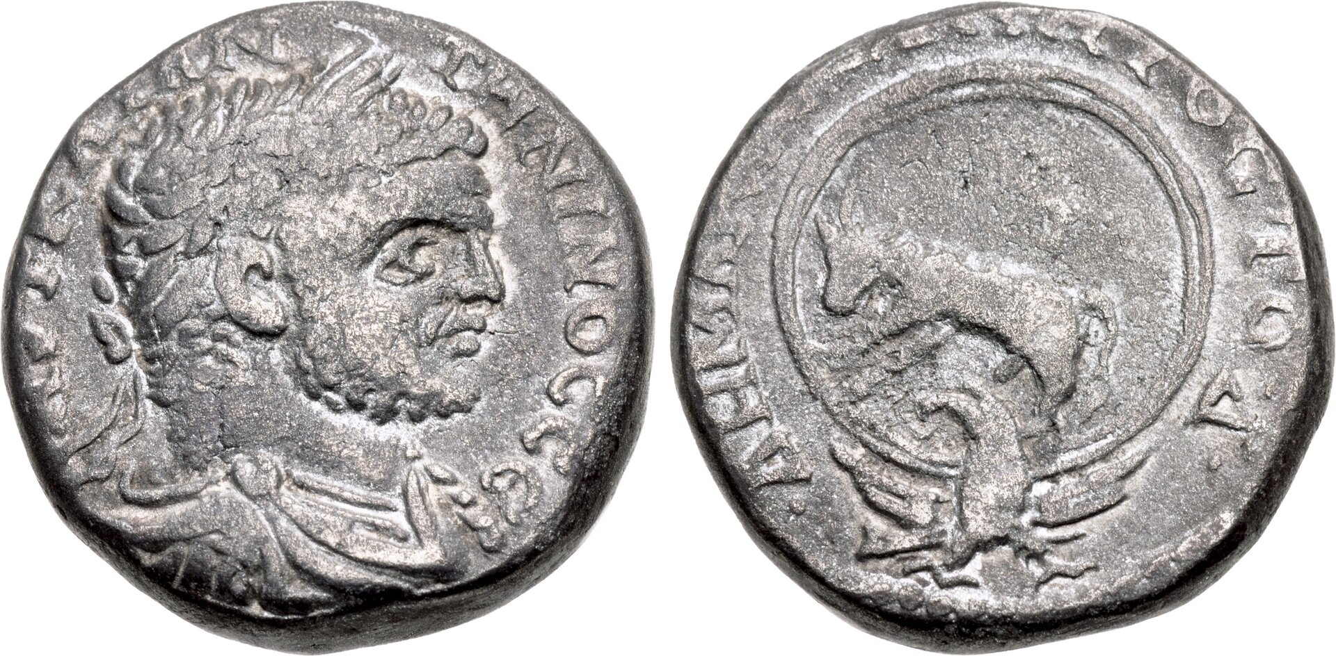 CNG XXV, image00707, Gaza, Caracalla, Prieur 1684, $2280.jpg