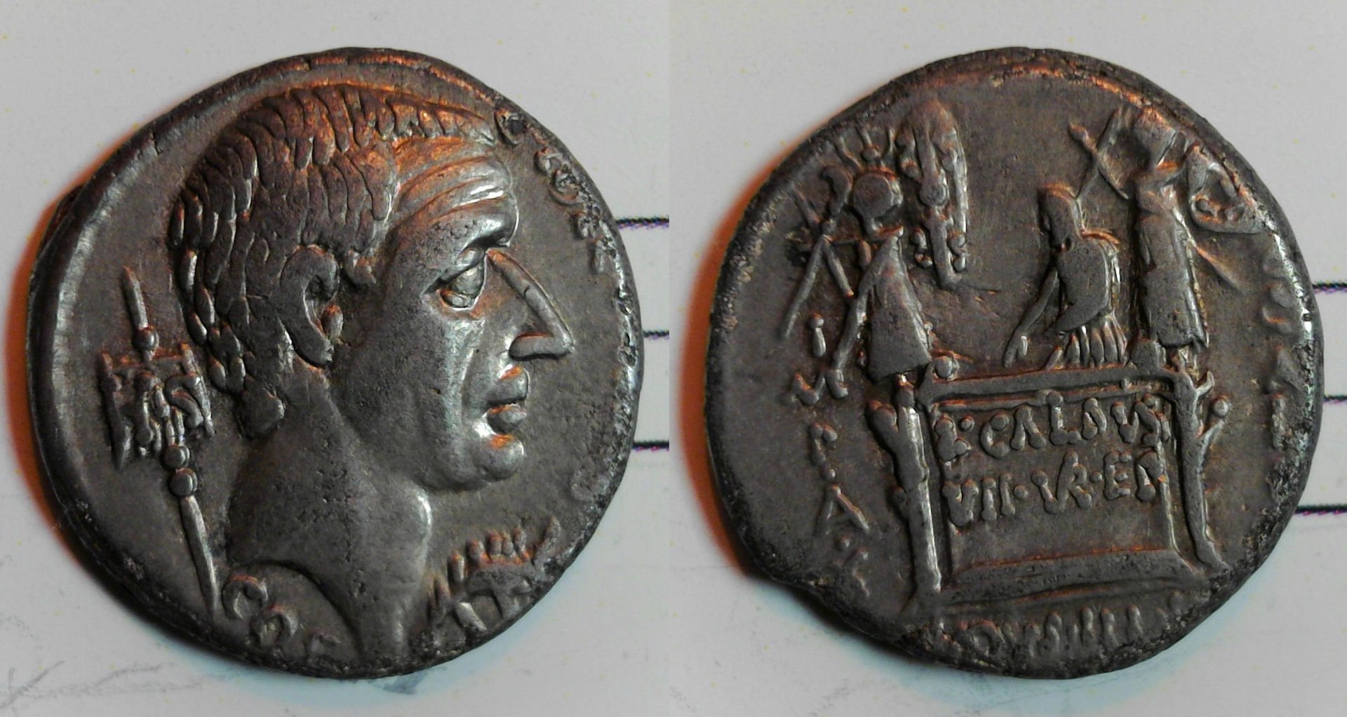 Coelius Caldus 1.jpg