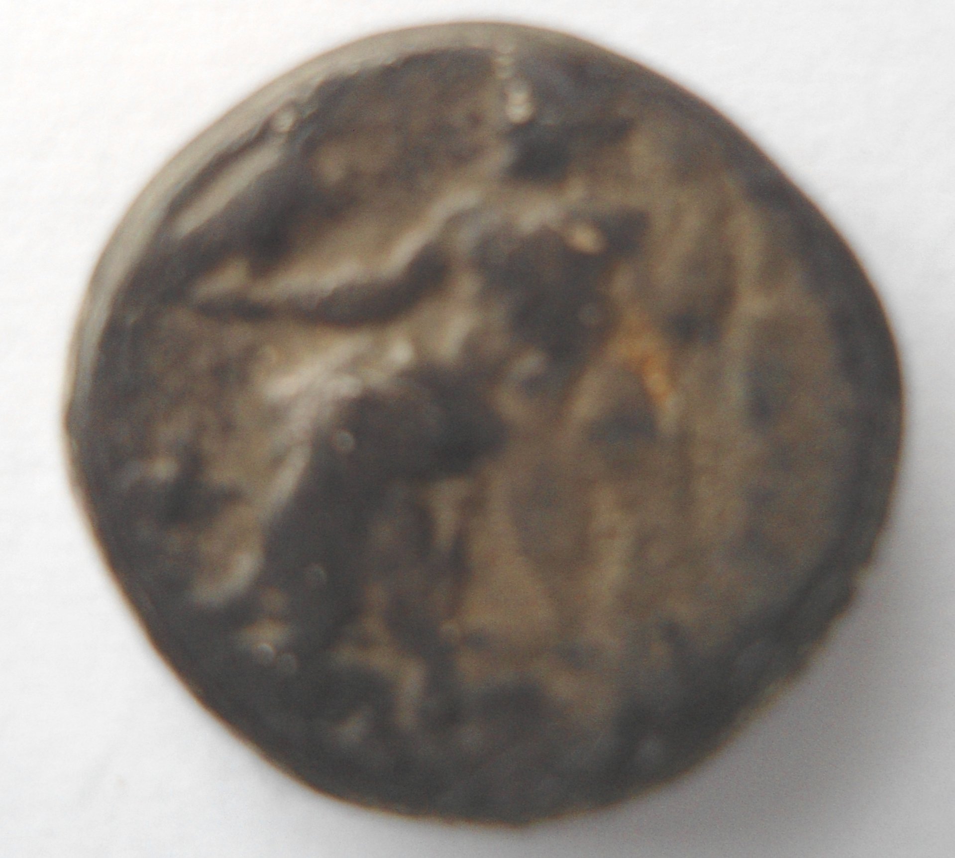 coin 2.jpg