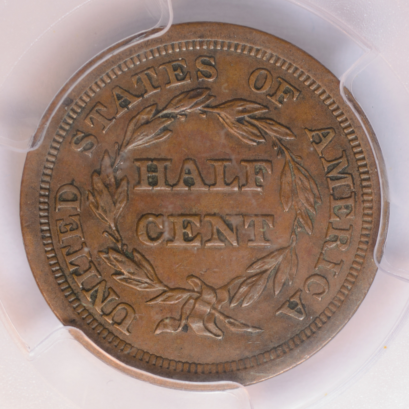 coin-261_aligned.jpg
