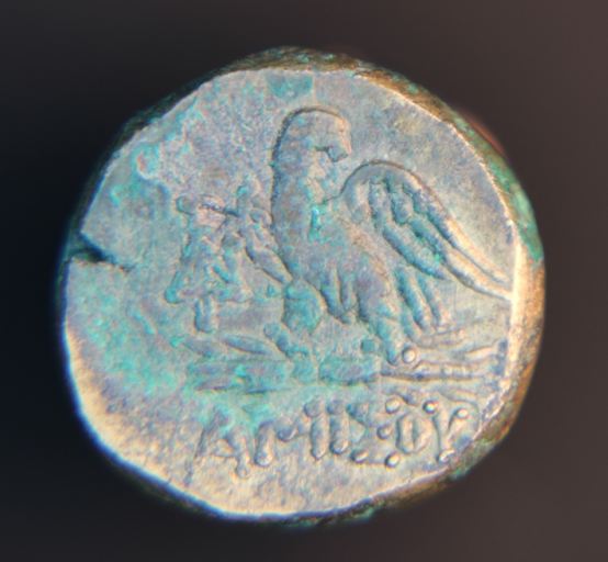 Coin club,bee, zesus 015_opt.jpg